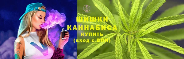 дурь Алзамай