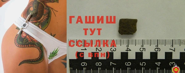 гашик Алексеевка