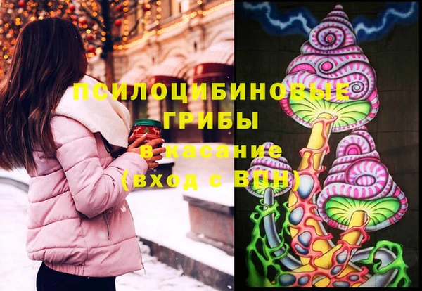 дурь Алзамай