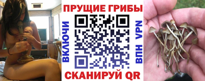 Галлюциногенные грибы ЛСД  Купить  Торопец 